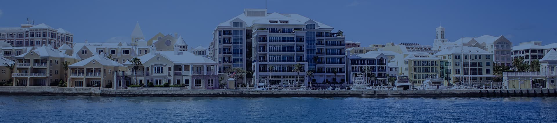 Bermuda Captive Conference (BCC)